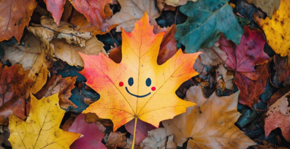 Усмихнат Лист от Клен сред Цветни Листи на Есента Усмихнат лист от клен сред цветни есенни листа в живописна паднала зеленина.